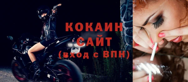 крисы Арсеньев