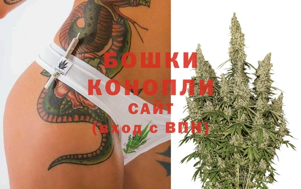 крисы Арсеньев