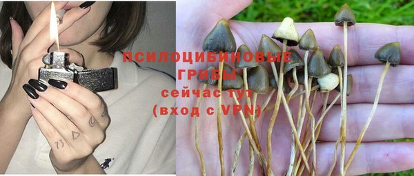 крисы Арсеньев