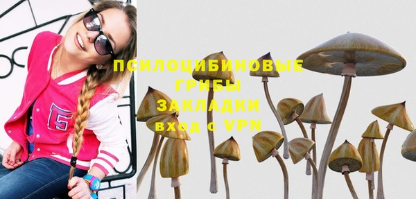 крисы Арсеньев